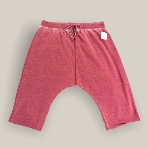 FREE PEOPLE NWT Cozy All Day Rose-Colored SOFT Harem Jogger Pants/Small - Picture 10 of 16